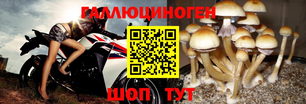 Псилоцибиновые грибы мухоморы Саров